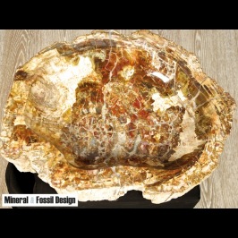 Vasca in Legno Fossile (cod.33)